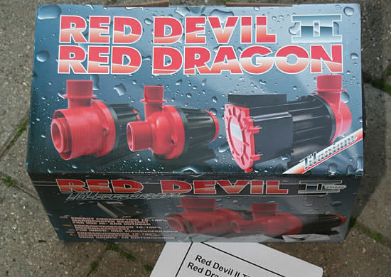 red dragon - red devil