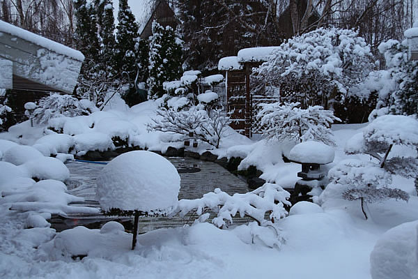 sne i den jap. have