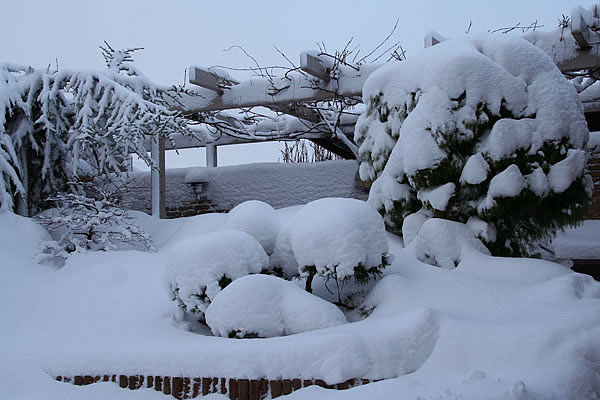 sne i den jap. have