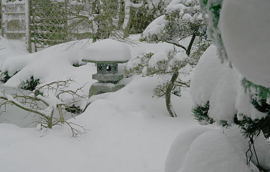 sne i store mængder i vores japanske have