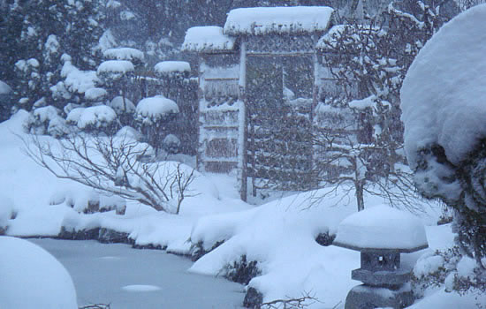 sne i store mængder i vores japanske have