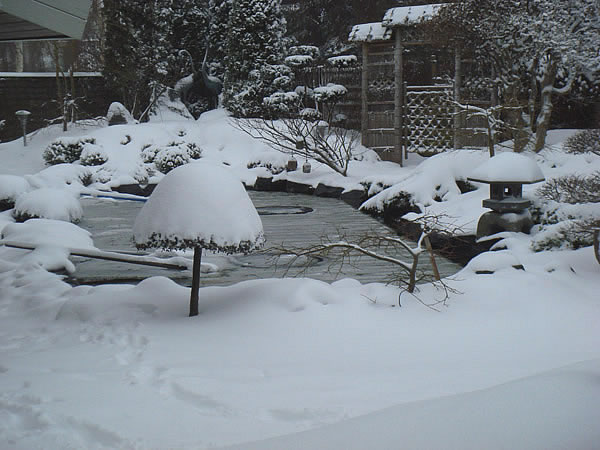 kong vinter i danmark