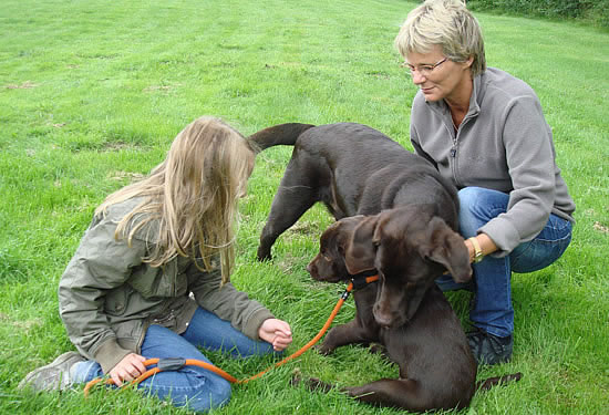 Kathrine, Grethe, Mocca og Choko