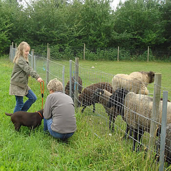 Kathrine, Grethe og Mocca