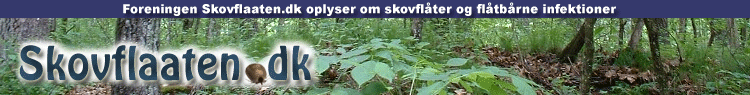 Skovflaaten.dk