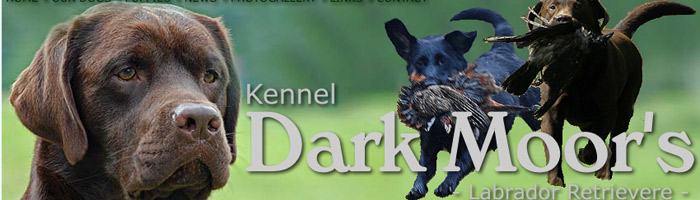Kennel Darkmoor's
