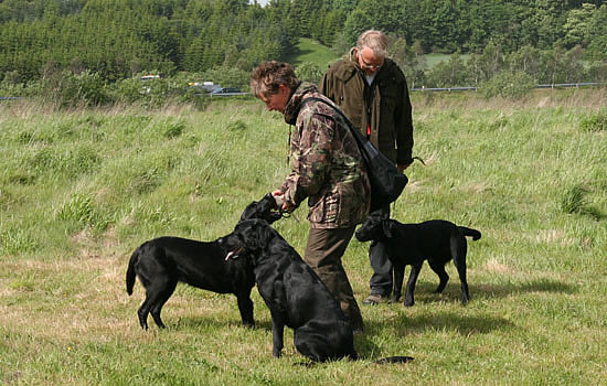 Træning med Hanne og Leoni