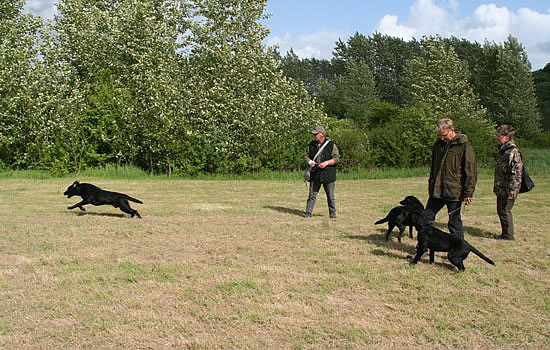 Træning med Hanne og Leoni