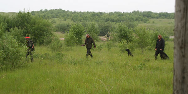 panther begyndertræning