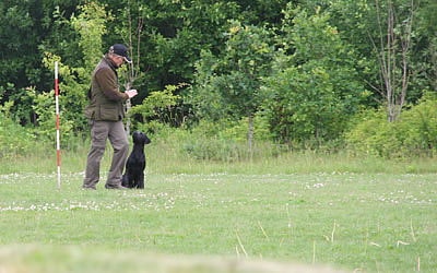 panther til brugsprøve 2011