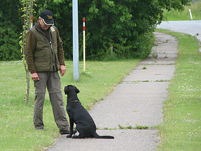 panther til brugsprøve 2011