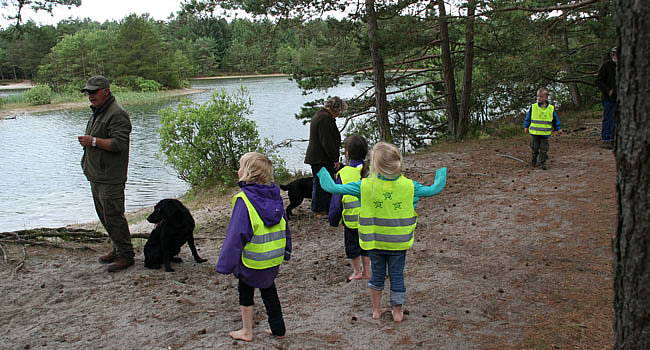 labrador træning - panther