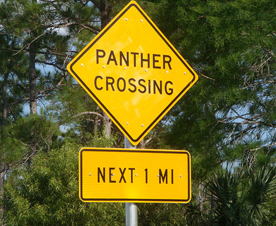 Bevare out there, Panther's crossing