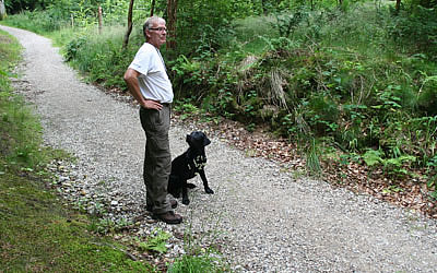 labradortræning