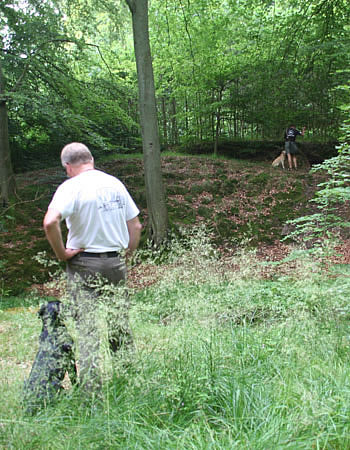 labradortræning