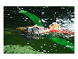 thumbnail19
