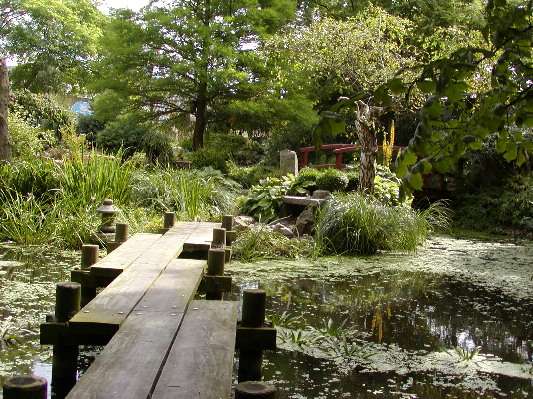 japansk have 
