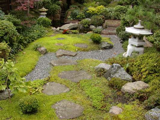 japansk have