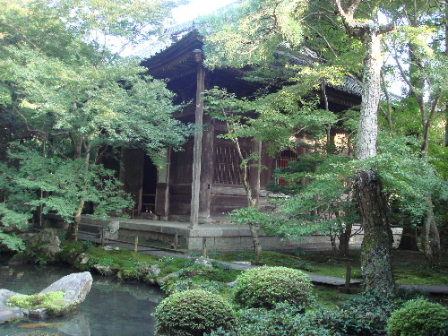 image14