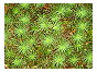 thumbnail23