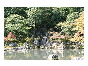 thumbnail9