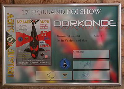 goshiki takigawa holland koishow