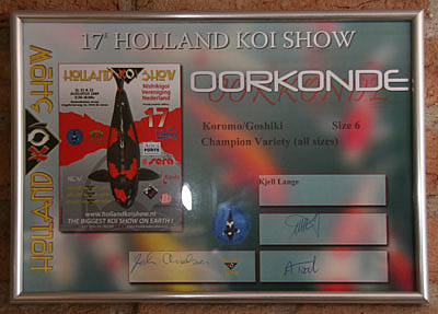 goshiki takigawa holland koishow