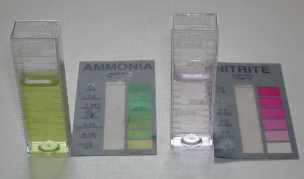 ammoniak tv. og nitrit th. godt p vej nedad
