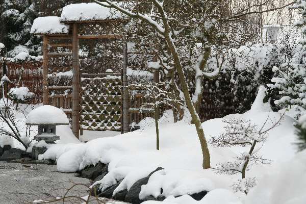 vinter i hyggedammen