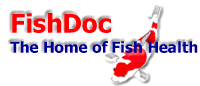 fish doc