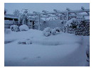 thumbnail2