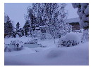 thumbnail4