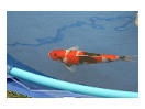 thumbnail19