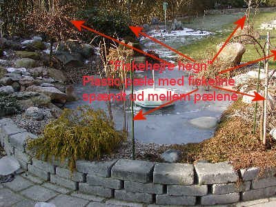 Fiskehejre sikring
