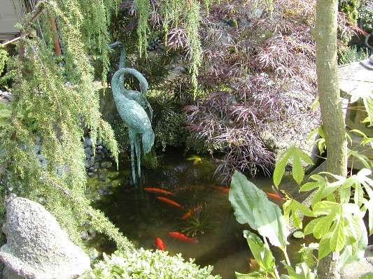 image11