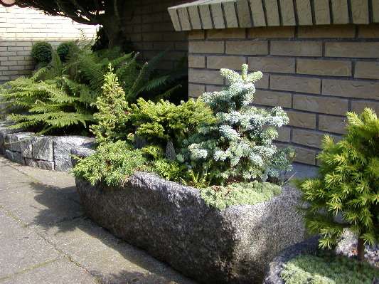image14