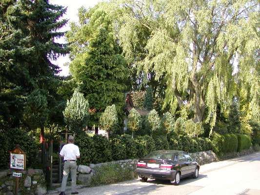 image19