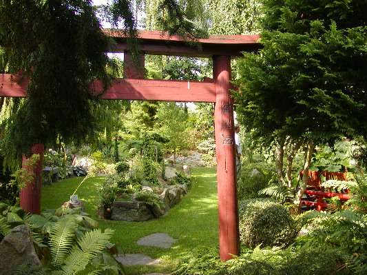 japansk have med flotte plantevækster