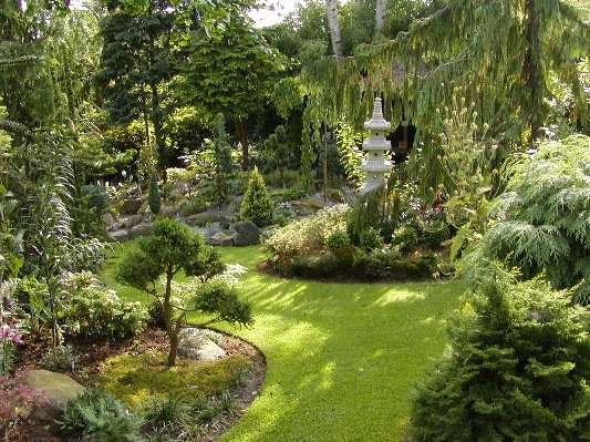 image7