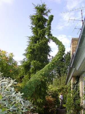 image9