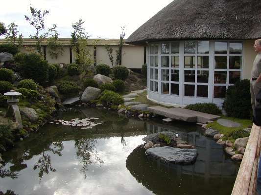 image10