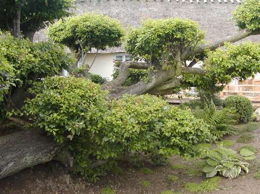 image11