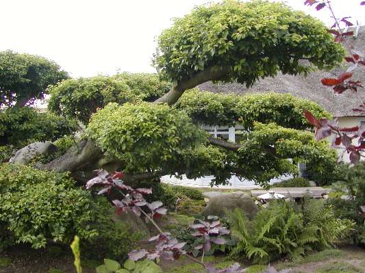 image12