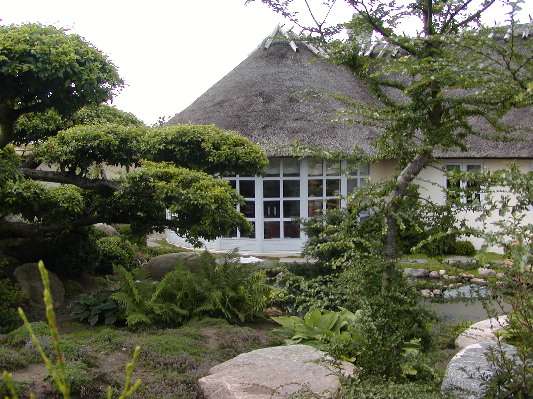 image13