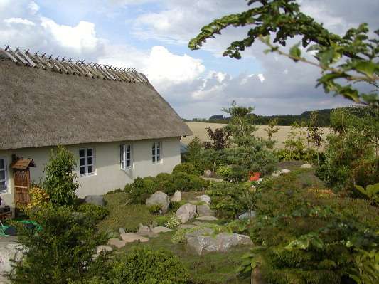 image14
