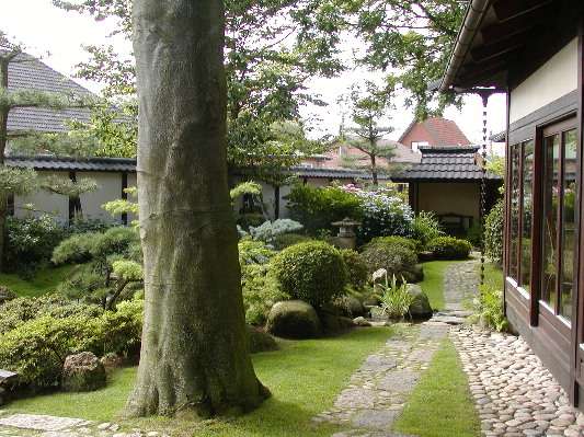 image6