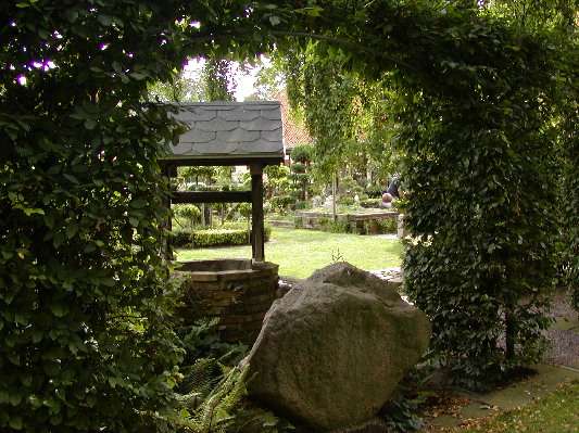 image7