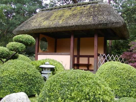 image11