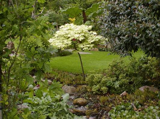 image7