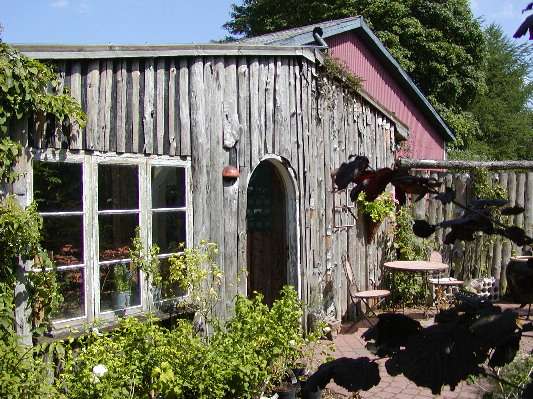 image13